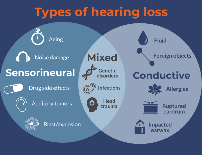 Infographic explaining sensorineural versus conductive hearing loss. 