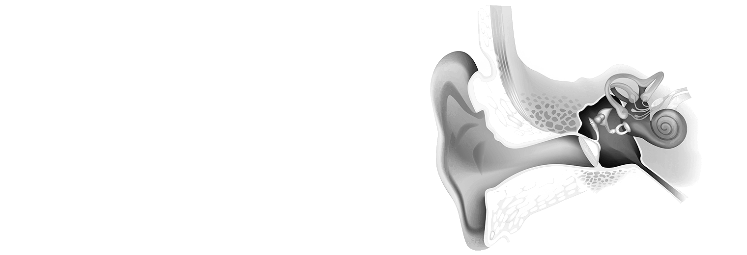 A diagram of the ear.