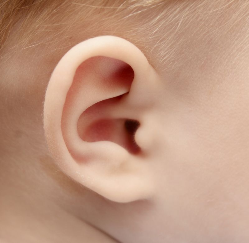 When Do Babies Ears Fully Developed?