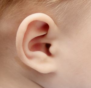 tiny baby ear