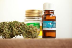 CBD oil and a cannabis plant