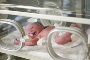 premature baby in hospital incubator