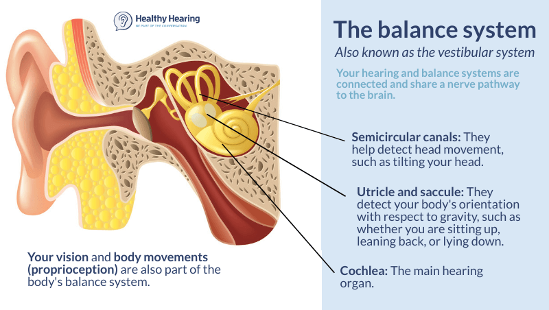 Infographic explaining the two main parts of the body's vestibular system for balance.