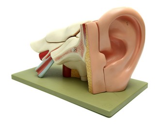 binaural hearing, hearing aids, hearing loss,
