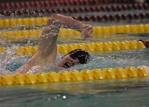 Competitive swimmer in the water
